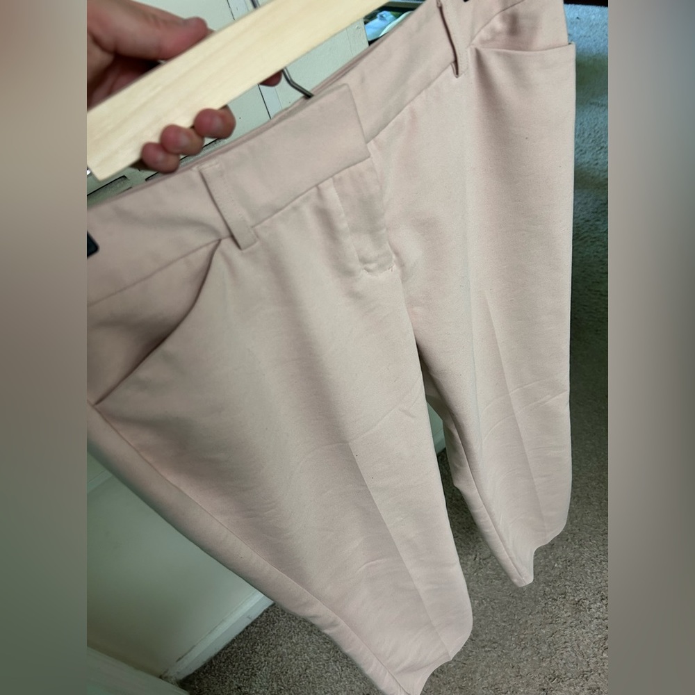 Pale Pink Barely Worn Mid-Rise Editor Pant - Picture 2 of 8